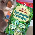 Eukalyptus-Drops-T�te 100gr