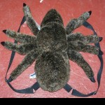 Rucksack - aussie red back spider