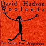 Woolunda 10 Solos  d. hudson