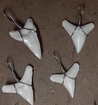 Haifisch Zahn mit Aufhänger 1-2cm