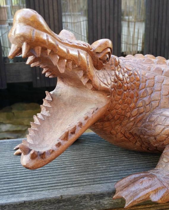 50-60cm Holz Krokodil Australien handarbeit 