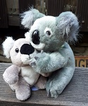 16cm Koala + Bruder oder Baby 