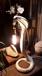 Tisch Lampe 220v Outback Schlange 48cm