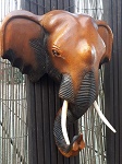Elefant Elefanten Kopf aus Holz 34cm 