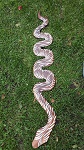 Holzschlange Australia  mit Malerei 98cm