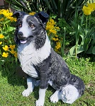 53cm Border Collie Hund wetterfest Poly