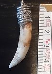 Krokodil Zahn Anhnger 3,5cm