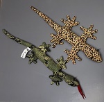 Echse Leguan Gecko  Sandtiere 20cm