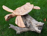 Wasser Meeres Schildkrte aus Holz 60cm