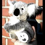 Koala  17 cm hoch