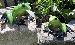 2er Set Frosch Gartenteich o im Haus 13cm