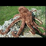 Stofftier Krake Octopus Tintenfisch  70 cm
